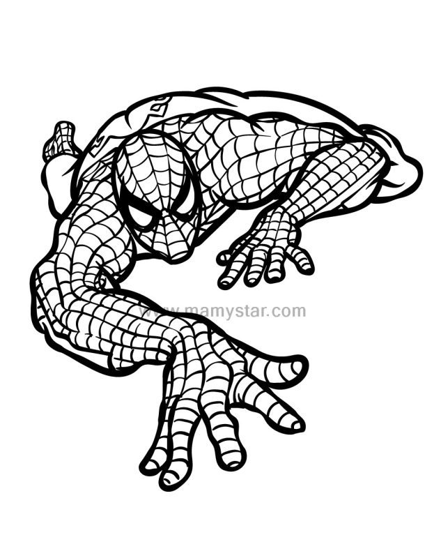 giant spiderman coloring book