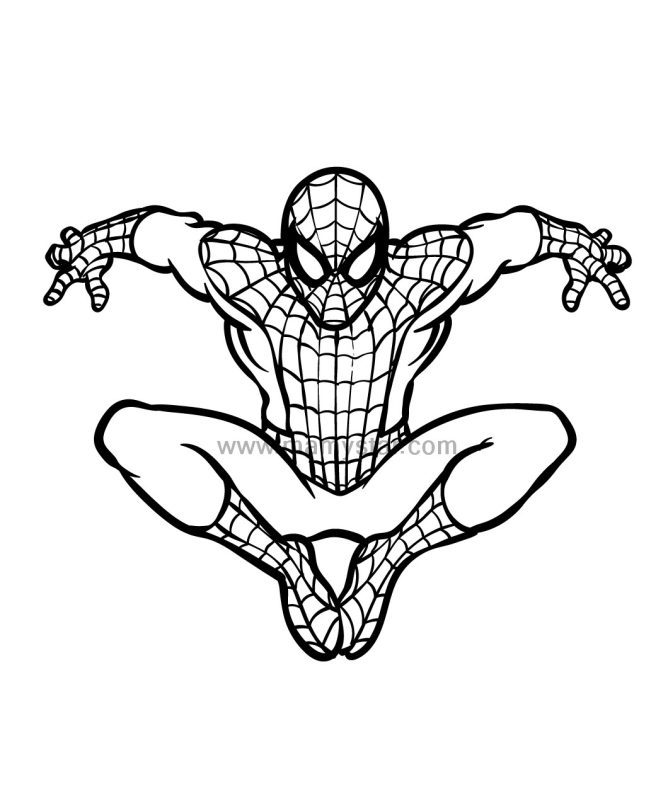 spiderman adult coloring book