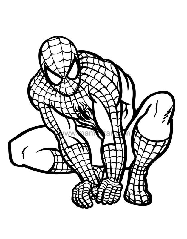 spiderman coloring and activity book