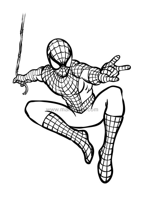 spiderman coloring book for adults